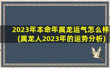 2023年本命年属龙运气怎