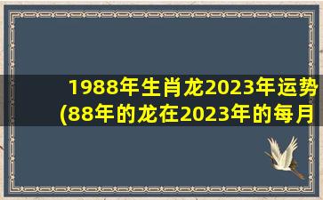 1988年生肖龙2023年运势(8