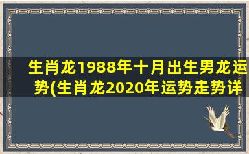 生肖龙1988年十月出生男龙