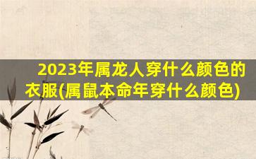 2023年属龙人穿什么颜色