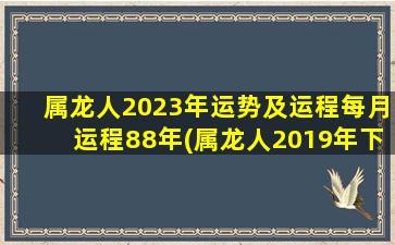 属龙人2023年运势及运程