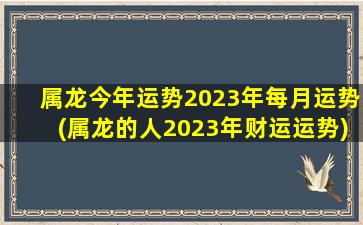 属龙今年运势2023年每月