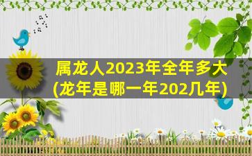 属龙人2023年全年多大(龙