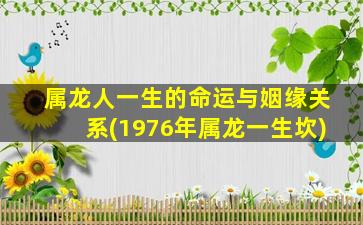 属龙人一生的命运与姻缘关系(1976年属龙一生坎)