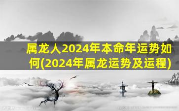 属龙人2024年本命年运势