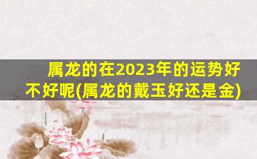 属龙的在2023年的运势好不好呢(属龙的戴玉好还是金)