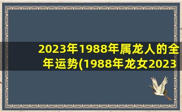 <strong>2023年1988年属龙人的全年运</strong>