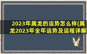 2023年属龙的运势怎么样