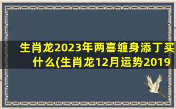 生肖龙2023年两喜缠身添丁买什么(生肖龙12月运势2019)