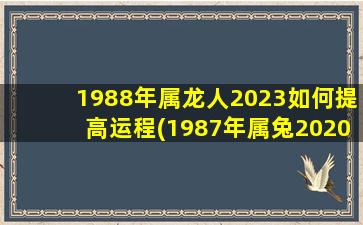 1988年属龙人2023如何提高