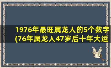 1976年最旺属龙人的5个数字(76年属龙人47岁后十年大运)