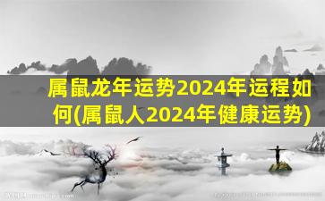 属鼠龙年运势2024年运程