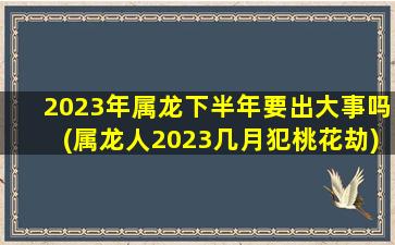 2023年属龙下半年要出大事