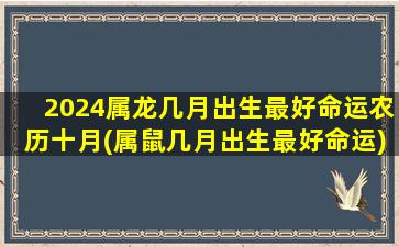 2024属龙几月出生最好命运农历十月(属鼠几月出生最好命运)