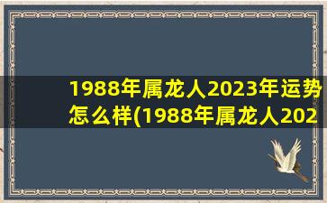 1988年属龙人2023年运势怎么