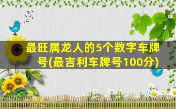 最旺属龙人的5个数字车