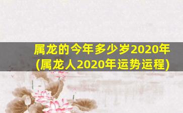 属龙的今年多少岁2020年