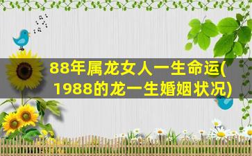 88年属龙女人一生命运(1988的龙一生婚姻状况)