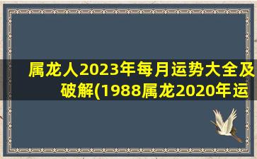 属龙人2023年每月运势大全及破解(1988属龙2020年运势及运程)