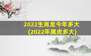 2022生肖龙今年多大(2022年