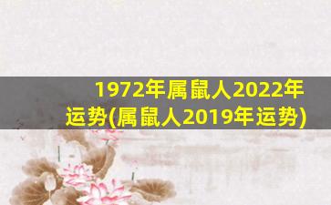 1972年属鼠人2022年运势(属鼠人2019年运势)