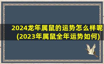 2024龙年属鼠的运势怎么