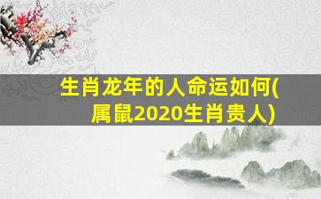 生肖龙年的人命运如何(属鼠2020生肖贵人)