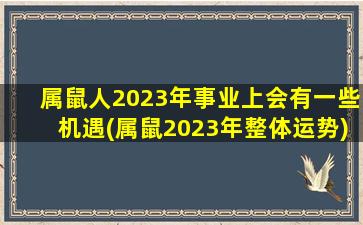 属鼠人2023年事业上会有