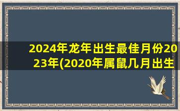 2024年龙年出生最佳月份