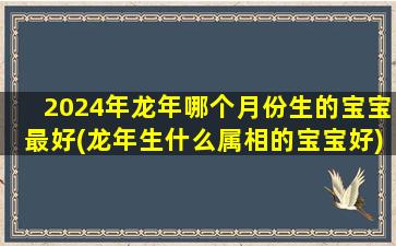 2024年龙年哪个月份生的宝