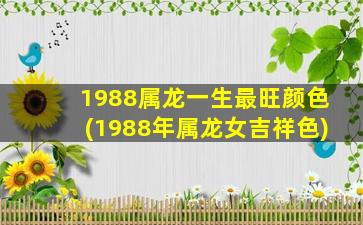 1988属龙一生最旺颜色(19