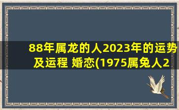 88年属龙的人2023年的运势及运程 婚恋(1975属兔人2020年运势)