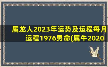 属龙人2023年运势及运程