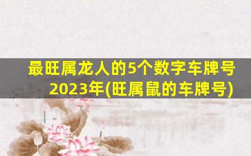 最旺属龙人的5个数字车牌