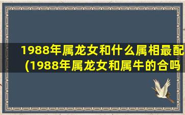 1988年属龙女和什么属相