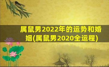 属鼠男2022年的运势和婚姻(属鼠男2020全运程)