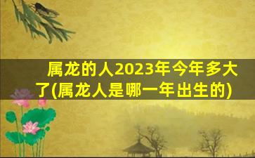 属龙的人2023年今年多大了(属龙人是哪一年出生的)