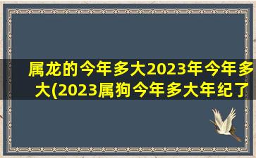 属龙的今年多大2023年今年