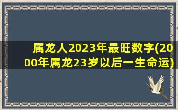 属龙人2023年最旺数字(20