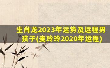 生肖龙2023年运势及运程男