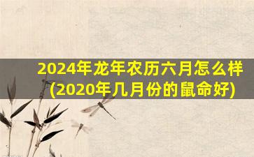 2024年龙年农历六月怎么样(2020年几月份的鼠命好)