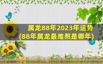 属龙88年2023年运势(88年属