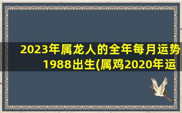 2023年属龙人的全年每月