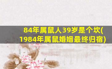 84年属鼠人39岁是个坎(