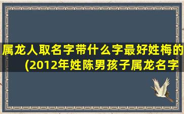 属龙人取名字带什么字最