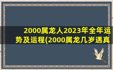 2000属龙人2023年全年运势及