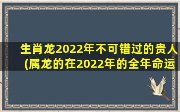 生肖龙2022年不可错过的贵