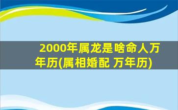 2000年属龙是啥命人万年历