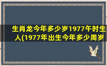 生肖龙今年多少岁1977午