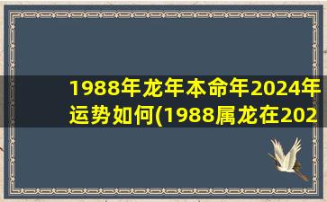 1988年龙年本命年2024年运